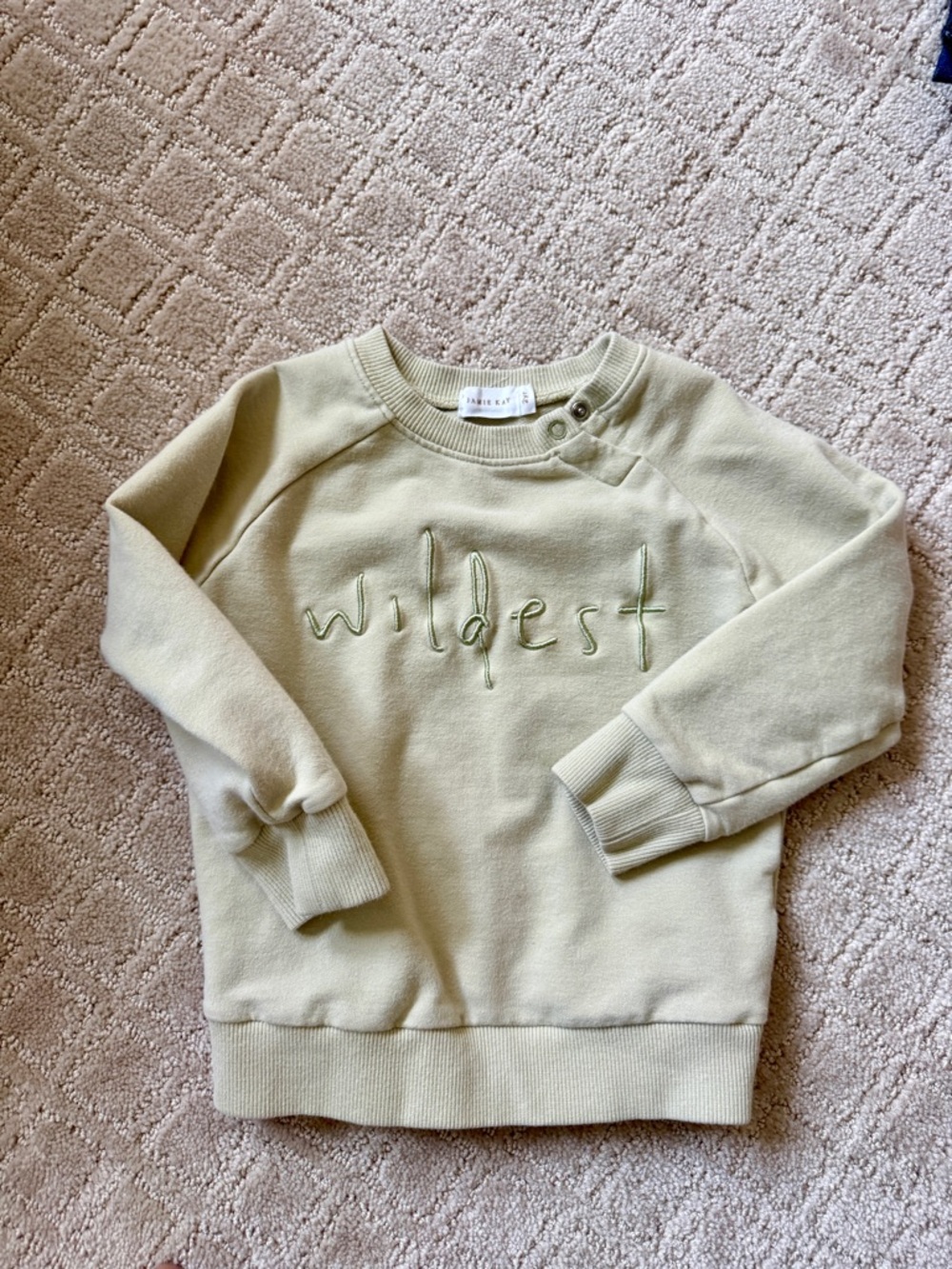 Jamie Kay Pale Green 'Wildest' Embroidered Crew Sweatshirt